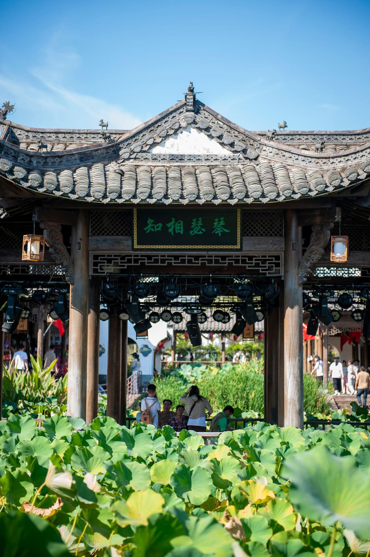 园林中的亭台与水景